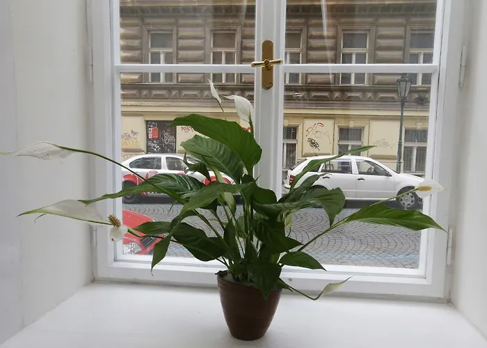 Greg Kampa Apartment Prag