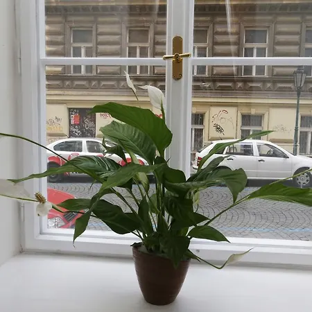 Greg Kampa Apartman Prága